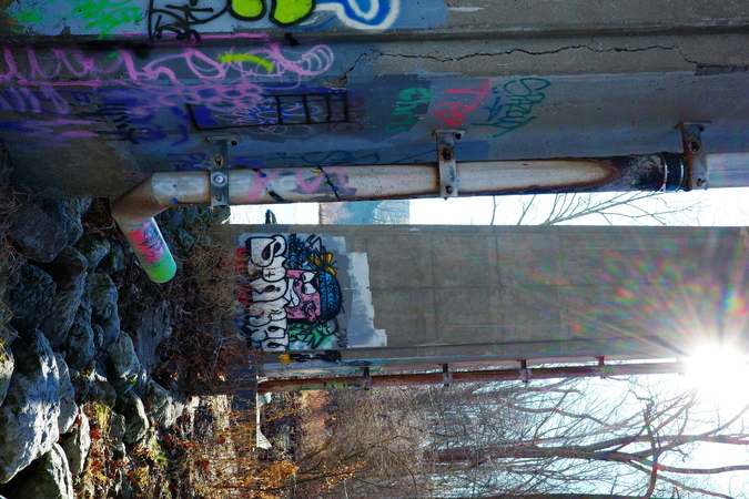 Graffiti under a bridge where nature meets concrete.